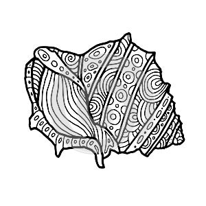 Decorative Zentangle Sea Shell illustration. Outline drawing. Coloring book for adult and children. Coloring page. Vector