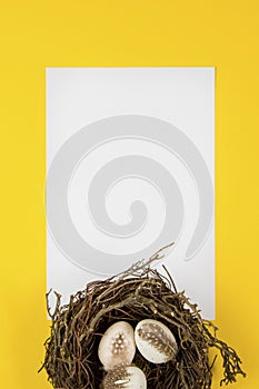 Decorted Easter eggs in a bird`s nest on a yellow background