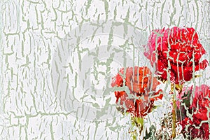 Decoupage flower background