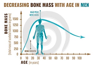 Decreasing bone mass photo