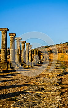 Decumanus Maximus, Gordian Palace, Tingis Gate, Volubilis