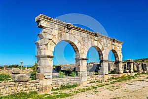 Decumanus Maximus, the main street of Volubilis, an ancient Roman town in Morocco photo