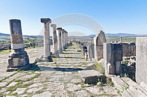 Decumanus Maximus street at Volubilis, Morocoo photo