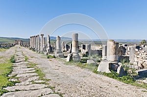 Decumanus Maximus at Volubilis, Morocoo