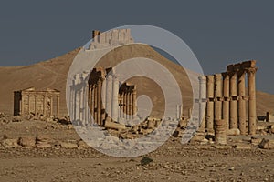 Decumenus Maximus of Palmyra