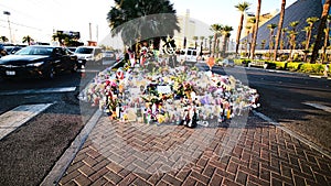 Dedicated flower bed of the Las Vegas Shooting victims