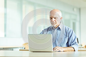 Dedicated responsible businessman working on a laptop