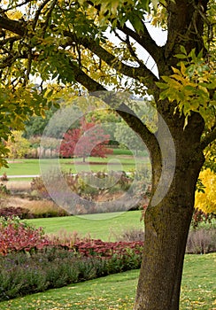 Deep autumn colours and textures at RHS Hyde Hall garden, near Chelmsford, Essex, UK.