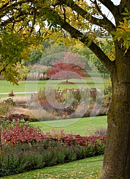 Deep autumn colours and textures at RHS Hyde Hall garden, near Chelmsford, Essex, UK.