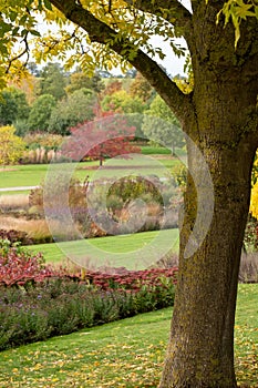 Deep autumn colours and textures at RHS Hyde Hall garden, near Chelmsford, Essex, UK.