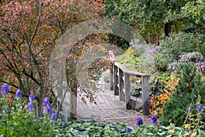 Deep autumn colours and textures in the RObinson Garden, photographed at RHS Hyde Hall, Essex UK