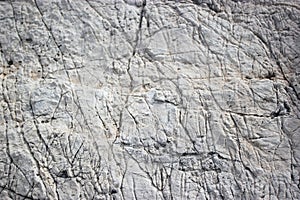 Deep black cracks on a white surfaced stone photo
