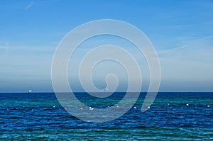 Deep blue ocean with some white seagulls swimming on it and a wide horizon