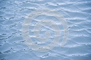 Deep blue rippling water surface.