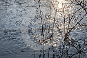 Deep blue river flow across a forest. Brown twigs of the trees grow in it. Light of a sun is reflecting in the water like a diamon