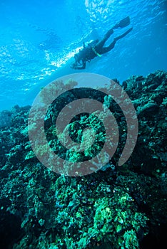 Deep blue sea scuba diving diver kapoposang indonesia