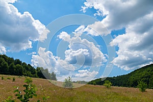 Deep blue sky with white clouds, low overgrown meadows overgrown with flowers and herbs. Beautiful summer day landscape