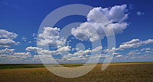 Deep blue sky and white cumulus clouds