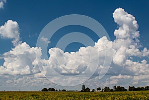 Deep blue summer sky with bright puffy clouds, Bond County, Illinois
