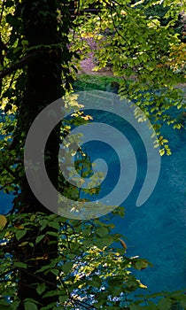 Deep blue water of Blautopf lake in Blaubeuren in Germany in Autumn