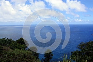 Deep blue water of the Pacific Ocean under fluffy clouds lined with grasses and trees in Hawaii