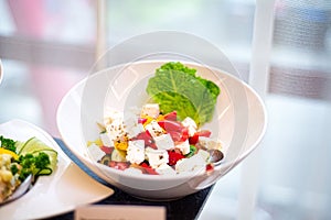 Deep bowl Greek salad of tomatoes, peppers, cucumbers, feta, shallots and olives
