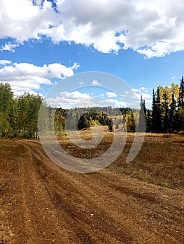 Deep brown mountain dirt road with aspen and pine trees under a white clouded blue sky