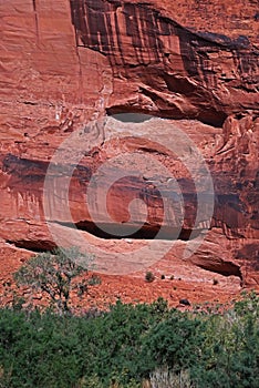 Deep in a canyon, a paraglider floats from the sky.