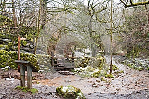 Deep Dale Nature Reserve, Wye Valley, Derbyshire.