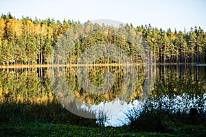 deep dark forest lake with reflections of trees and green foliage