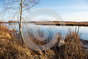 deep dark forest lake with reflections of trees and green foliage