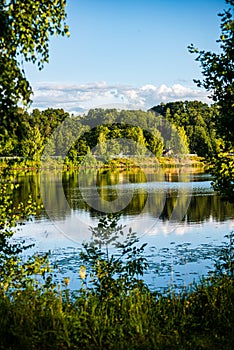 deep dark forest lake with reflections of trees and green foliage