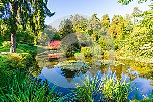 deep dark forest lake with reflections of trees and green foliage