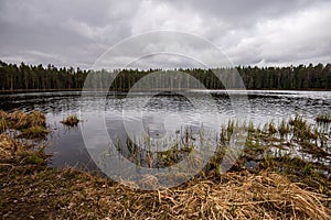 deep dark forest lake with reflections of trees and green foliage