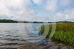 deep dark forest lake with reflections of trees and green foliage