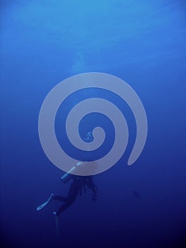 Deep dive scuba diver blue water philippines