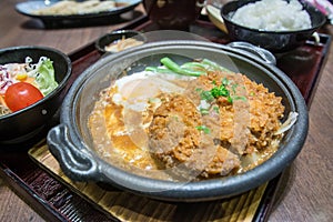 Deep Fired pork boiled with fresh egg top on the rice bowl.