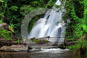 Profundo Bosque el gran cascada 