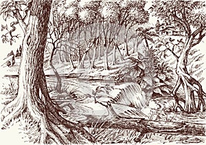 Deep forest hand drawing