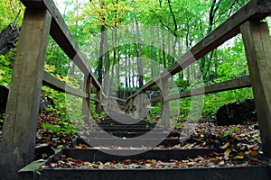 Deep Forest Hiking Trail. Hiking Up Wooden Stairs