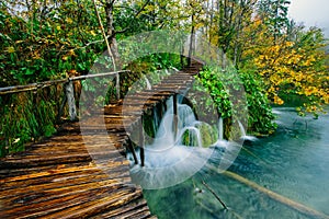 Deep forest stream with crystal clear water with pathway. Plitvice lakes