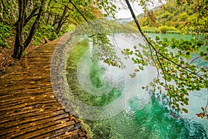 Deep forest stream. Crystal clear water. Plitvice lakes, Croatia