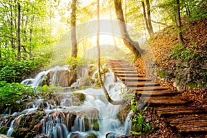 Deep forest stream with crystal clear water in the sunshine