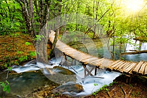 Deep forest stream with crystal clear water in the sunshine. Plitvice lakes, Croatia