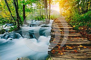 Deep forest stream with crystal clear water with wooden pahway. Plitvice lakes, Croatia UNESCO