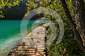 Deep forest stream path with crystal clear water in the sunshine. Plitvice lakes, Croatia