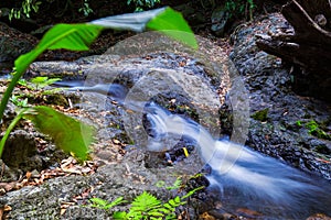 Deep forest stream with rocks around, blur motion, long exposure
