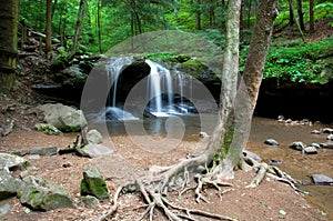 Deep Forest Waterfall