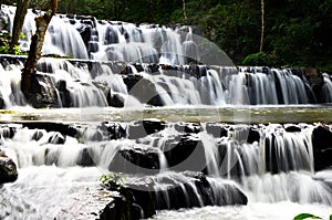 Deep Forest Waterfall