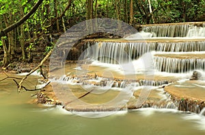 Deep forest waterfall